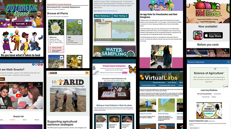 Collage of websites IMRE has created