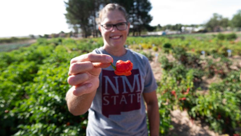 Image of student holding up a red chile