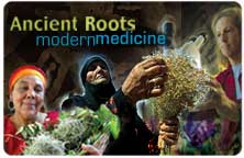 Title slide for Ancient Roots: Modern Medicine