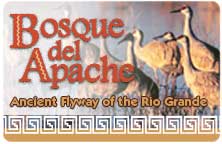 Icon for "Bosque del Apache" produced by NMSU Media Productions