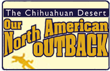 Icon for "The Chihuahuan Desert: Our North American Outback" produced by NMSU Media Productions