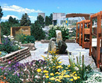 Image of xeriscaped garden
