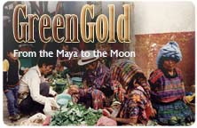 Icon for "Green Gold: From the Maya to the Moon" produced by NMSU Media Productions