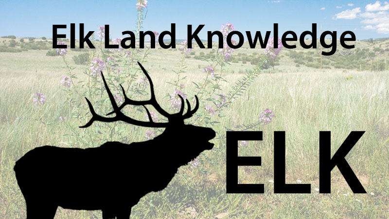 Elk, Land, and Knowledge banner image