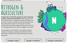 screenshot - Nitrogen (N) is critical for agriculture and is required for plant, animal and soil health.