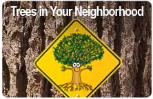Icon for "Trees In Your Neighborhood" produced by NMSU Media Productions